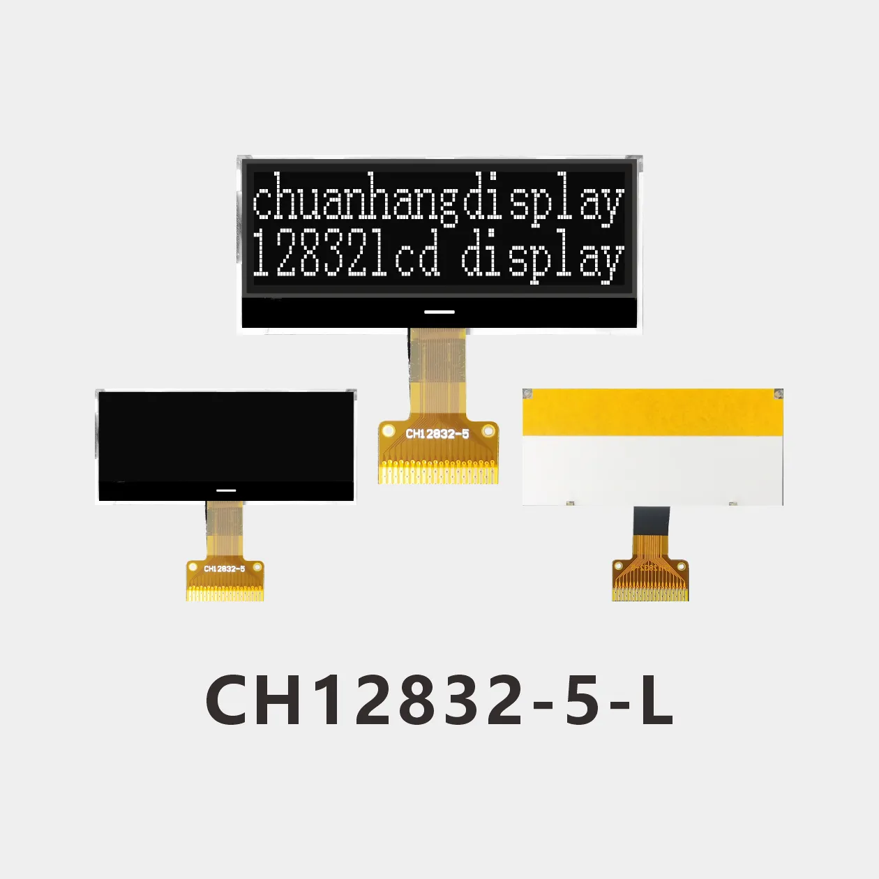 CH12832-5-L M&oacute;dulo LCD Gr&aacute;fico COG